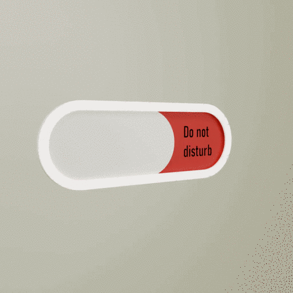 Do Not Disturb Welcome Please Personalized Sign, Privacy Sign for Home, Conference or Meeting Rooms, Slider Door sign (Tells Whether room Vacant or Occupied)